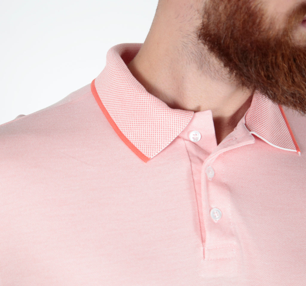 POLO PREMIUM MODAL