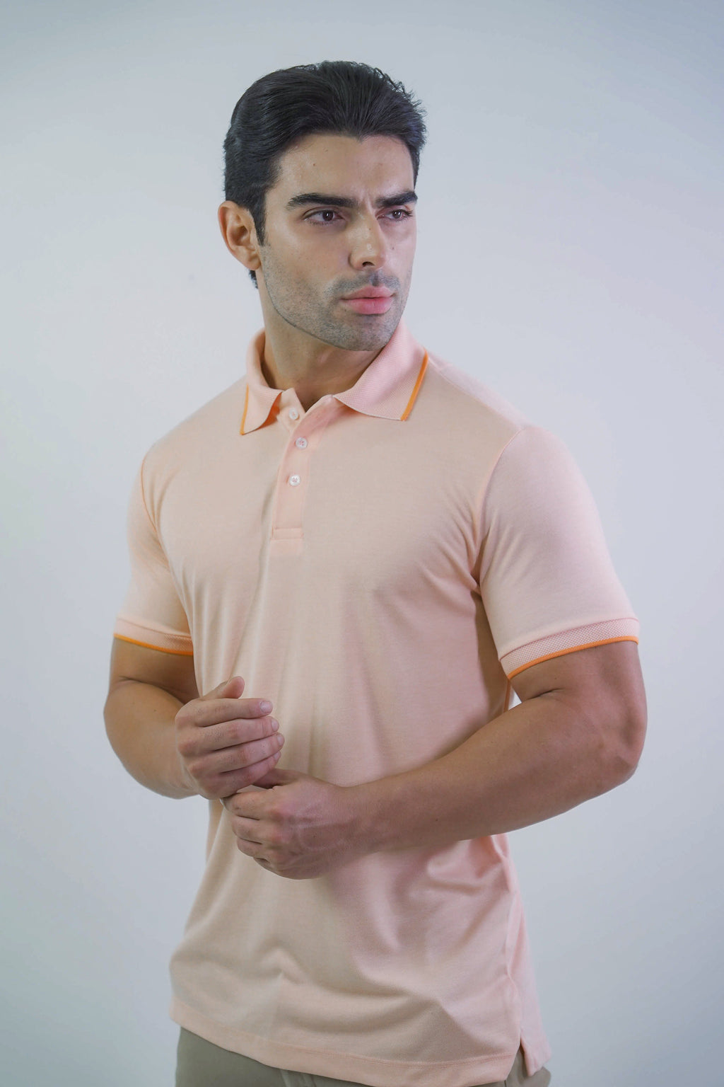 POLO PREMIUM MODAL
